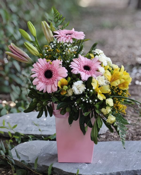 Spring Harmony