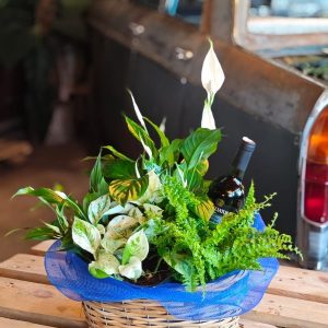 Sip & Plant