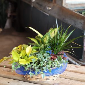 The Bloom Nest